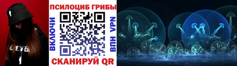 Псилоцибиновые грибы GOLDEN TEACHER  ОМГ ОМГ сайт  Чаплыгин 